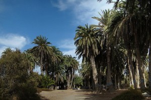 Parque Tony Gallardo (foto de archivo)
