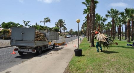 San Bartolomé de Tirajana limpia y restaura zonas verdes y márgenes de carreteras