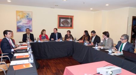 Turismo se reúne con los Cabildos para afianzar su colaboración en materia de promoción