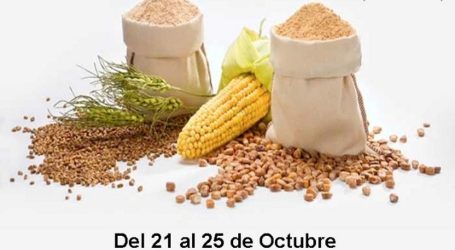 El PSOE de Santa Lucía de Tirajana organiza una recogida de alimentos no perecederos