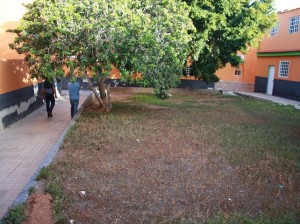 Jardines interiores de las viviendas sociales de Los Llanos, en Santa Lucía de Tirajana
