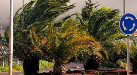 El mal tiempo obliga al Cabildo de Gran Canaria a activar el Plan de Emergencias
