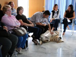 Programa "Nahai", de intervención psicológica con animales 