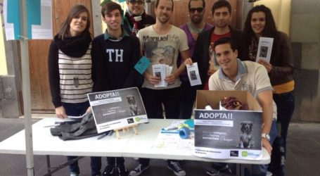 NNGG de Gran Canaria promueve una campaña de adopción de mascotas