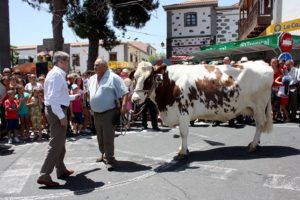 Fiestas de Santiago de Tunte, Feria de Ganado