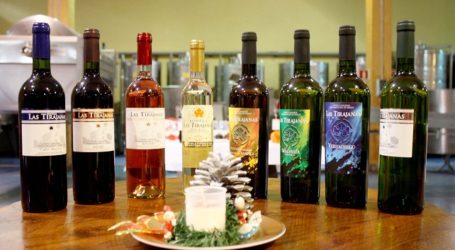 Bodega Las Tirajanas lanzará a finales de este año su primer vino de crianza