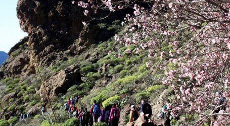 120 senderistas disfrutan de la ruta de tapas y el Almendro en Flor en Tunte