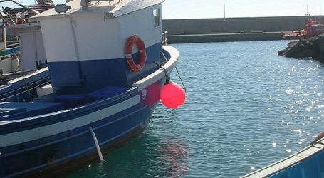 NC exige a Madrid la revisión del cupo de capturas de atún rojo asignado a Canarias