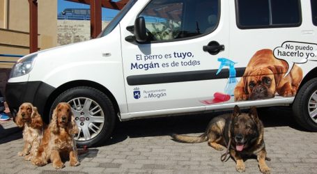 Mogán pretende acabar con las ‘cacas’ de los perros en la vía pública