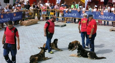 La II Feria de Mascotas Responsables se celebra con el I Canicross, en Los Alisios