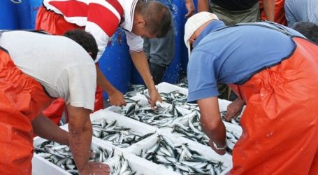 NC de Mogán se opone a que barcos marroquíes descarguen pescado en La Luz