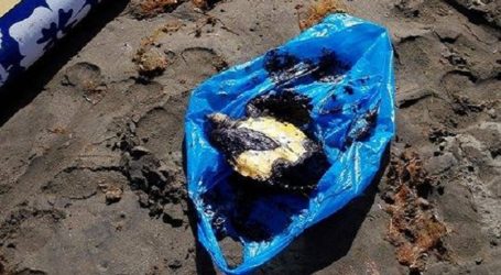 Siguen llegando manchas de hidrocarburos a las playas del sur de Gran Canaria