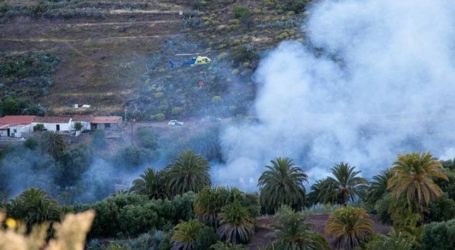 El incendio de Santa Lucía de Tirajana arrasa 21 hectáreas de pasto y matorral