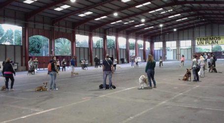 Más de 200 personas interesadas en el curso de tenencia responsable de perros