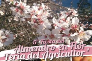 Fiesta del Almendro en Flor, detalle del cartel
