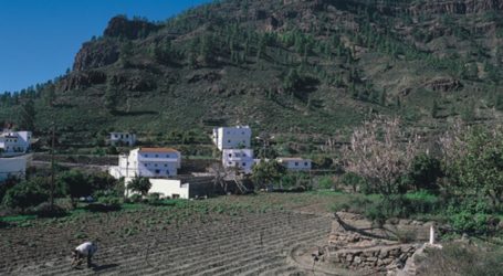 Mogán se incorpora al programa de formación agraria del Cabildo de Gran Canaria
