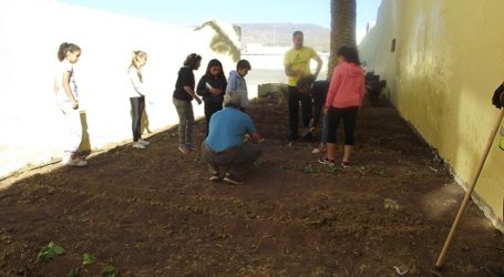 Santa Lucía celebra el Día del Medio Ambiente con un huerto montado por escolares