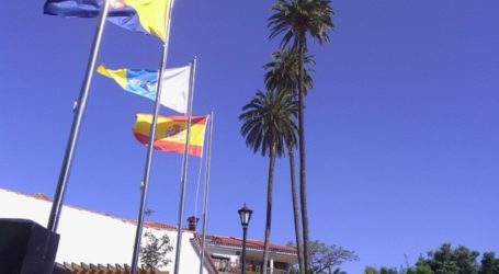 El pleno de Santa Lucía solicita más protección de la Palmera Canaria