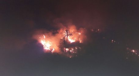 Efectiva actuación de los Bomberos de Mapalomas en el incendio de La Culata