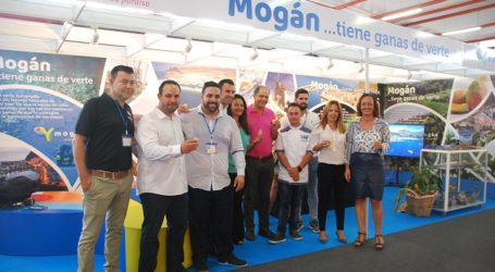Mogán expone en ‘Gran Canaria me gusta’ sus mejores aguacates, mangos y bonitos