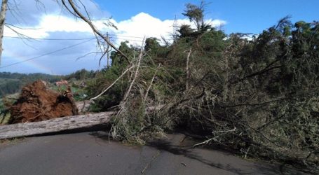 El Cabildo pide no circular por las carreteras de Gran Canaria debido al peligro por el temporal