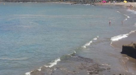 Sanidad “desaconseja” el baño en las playas que se vean afectadas por la llegada de microalgas