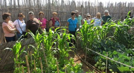 El Ayuntamiento de Santa Lucía ofrece al sector primario un nuevo curso de fitosanitarios