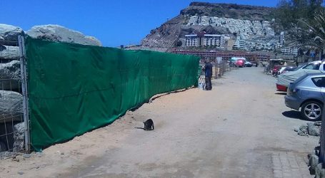 Nueva Canarias pide a Onalia Bueno que garantice la seguridad en la Playa de Tauro
