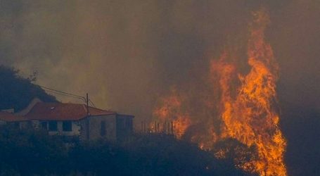 UGT en el Cabildo aclara que el autor del incendio de 2007 no es agente forestal, como se ha publicado