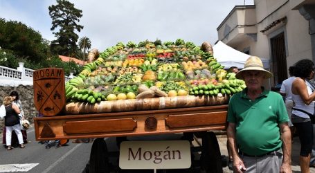 Mogán ofrece a la Virgen del Pino más de 1.000 kilos de fruta y más de 200 kilos de pescado
