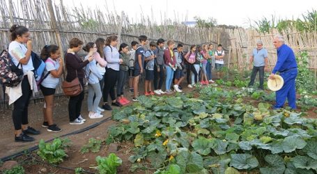 Estudiantes de Secundaria conocen el funcionamiento ecológico de los huertos urbanos