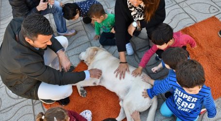El Ayuntamiento de Mogán enseña a los más pequeños a cuidar a las mascotas y el entorno