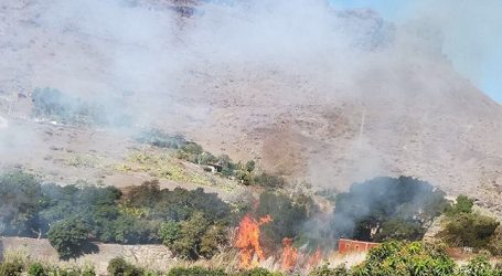 Un fuego arrasa cañas y cultivos de varias fincas del barranco de Mogán