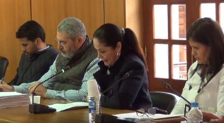 Elena Espino y Samuel Henríquez exponen las demandas ciudadanas en el pleno