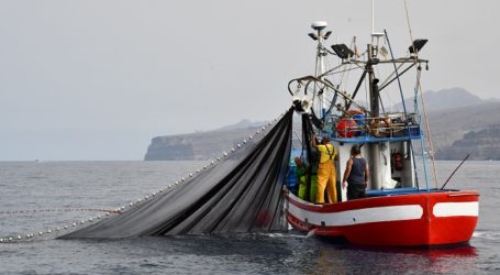 La reapertura de la pesquería del atún blanco alivia a los marineros de Mogán