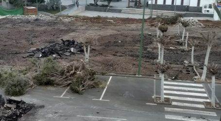 NC denuncia que Ciuca-PSOE continúan arrasando las zonas verdes de Mogán (galería de imágenes)
