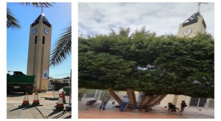 NC pide explicaciones sobre el árbol de la plaza de San Fernando de Maspalomas