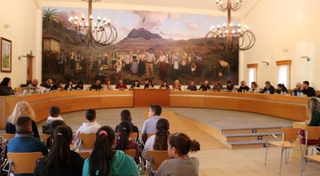 El pleno de Santa Lucía aprueba rebajar el IBI a las familias numerosas con menos ingresos