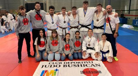 El Bushican suma más medallas para el judo tirajanero en el Campeonato de Canarias
