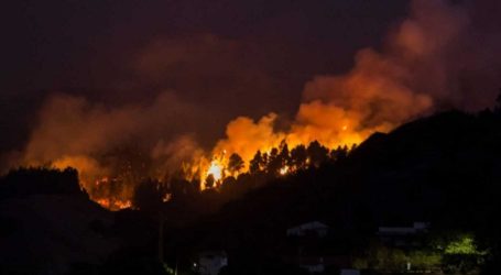 Incendio de Gran Canaria: comunicado del colectivo Gana/Grupo Verde de Santa Lucía de Tirajana
