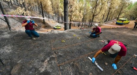 El Cabildo investiga el 100% de los incendios forestales de Gran Canaria con una brigada que está a la cabeza del país