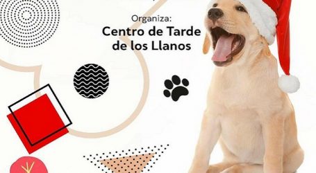 El Centro de Tarde de Los Llanos apoya la campaña ‘Adopta un perro’ para evitar el abandono de los animales