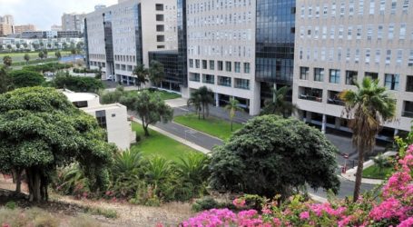 UGT pide el ‘Premio Canarias’ para los trabajadores de los servicios esenciales, activos durante el estado de alarma