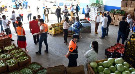 El Ayuntamiento agradece el trabajo de los bancos de alimentos y las donaciones de empresas