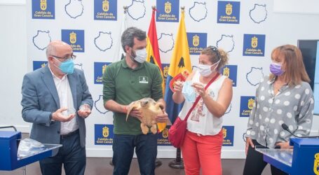 El Cabildo dedica el Día del Medio Ambiente al nuevo problema medioambiental y sanitario provocado por las mascarillas