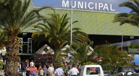 Reapertura del “rastro de los domingos” junto al Mercado Municipal de Maspalomas