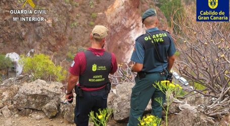 Gran Canaria se enfrenta al riesgo de un gran incendio forestal y necesita que la población evite subir a la cumbre y medianías