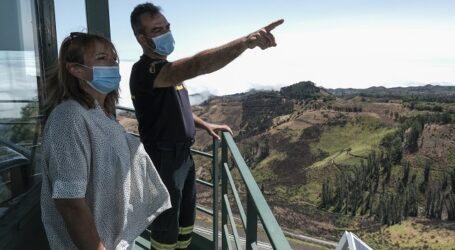 El 75% de la superficie de Gran Canaria que arrasó el fuego se ha recuperado
