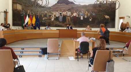 El Pleno de Santa Lucía aprueba por unanimidad la cesión del suelo municipal al Gobierno canario para viviendas sociales