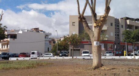 La oposición asegura que San Bartolomé de Tirajana “se seca”